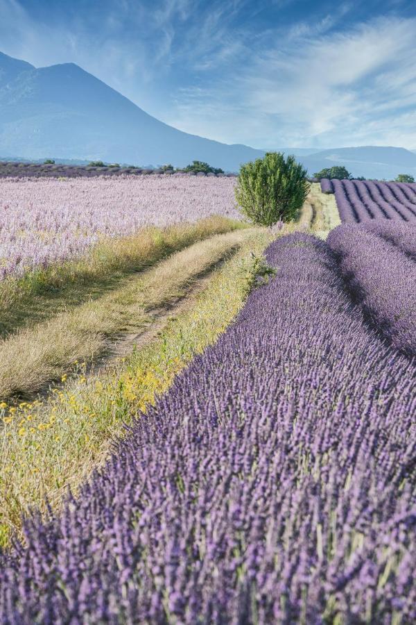 Gite Le Val Zen Valaurie - Drome Provencale 외부 사진
